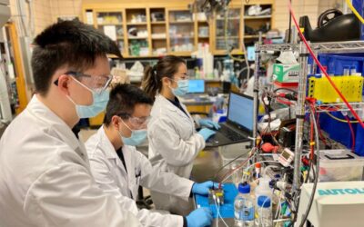 University of Toronto team 1 of 23 winners in XPRIZE Carbon Removal Student Competition