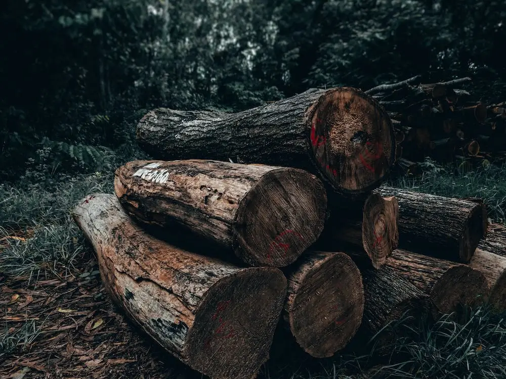 57. Is Biomass Power Carbon Neutral_Evidence from a Structural Model of the US Logging Industry_Rommelaere