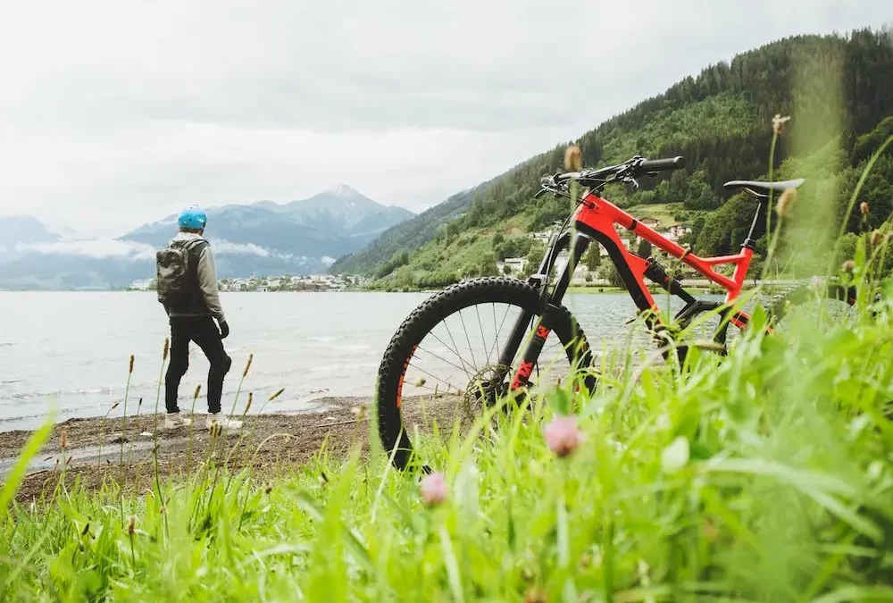 Estimation of the city’s vegetation to the carbon footprint