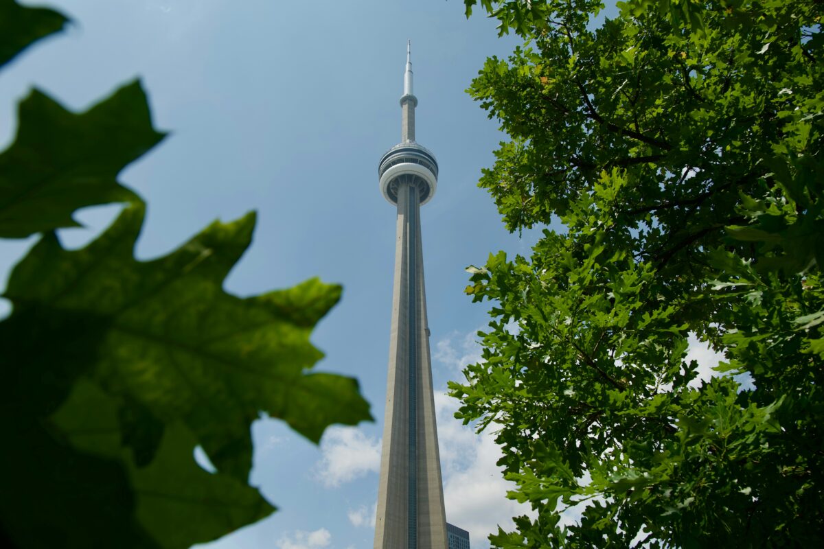 decarb aditya rajguru aANLImRzI unsplash